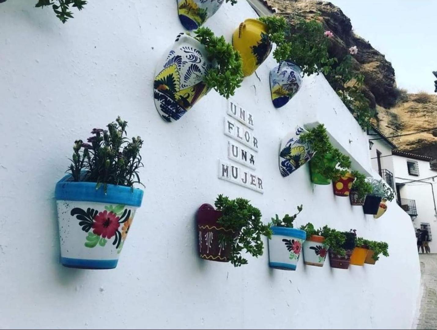 Apartmán La Medina Baja Setenil De Las Bodegas Exteriér fotografie